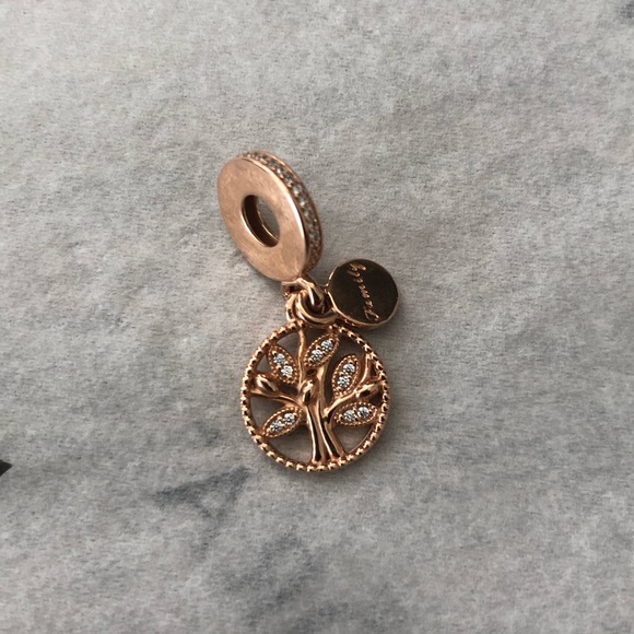 Pandora Jewelry - Pandora Family Heritage Dangle Charm